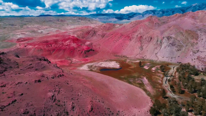 Světlá fialová plocha s tmavým nadpisem